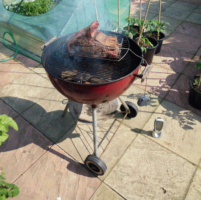 Red Weber with its final Rib Roast